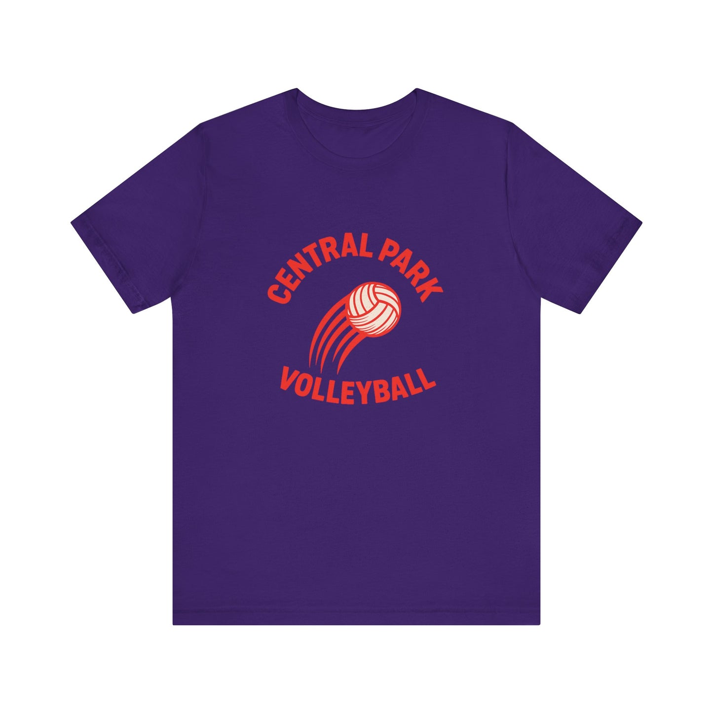 Central Park Volleyball Fire Tee detail shot.