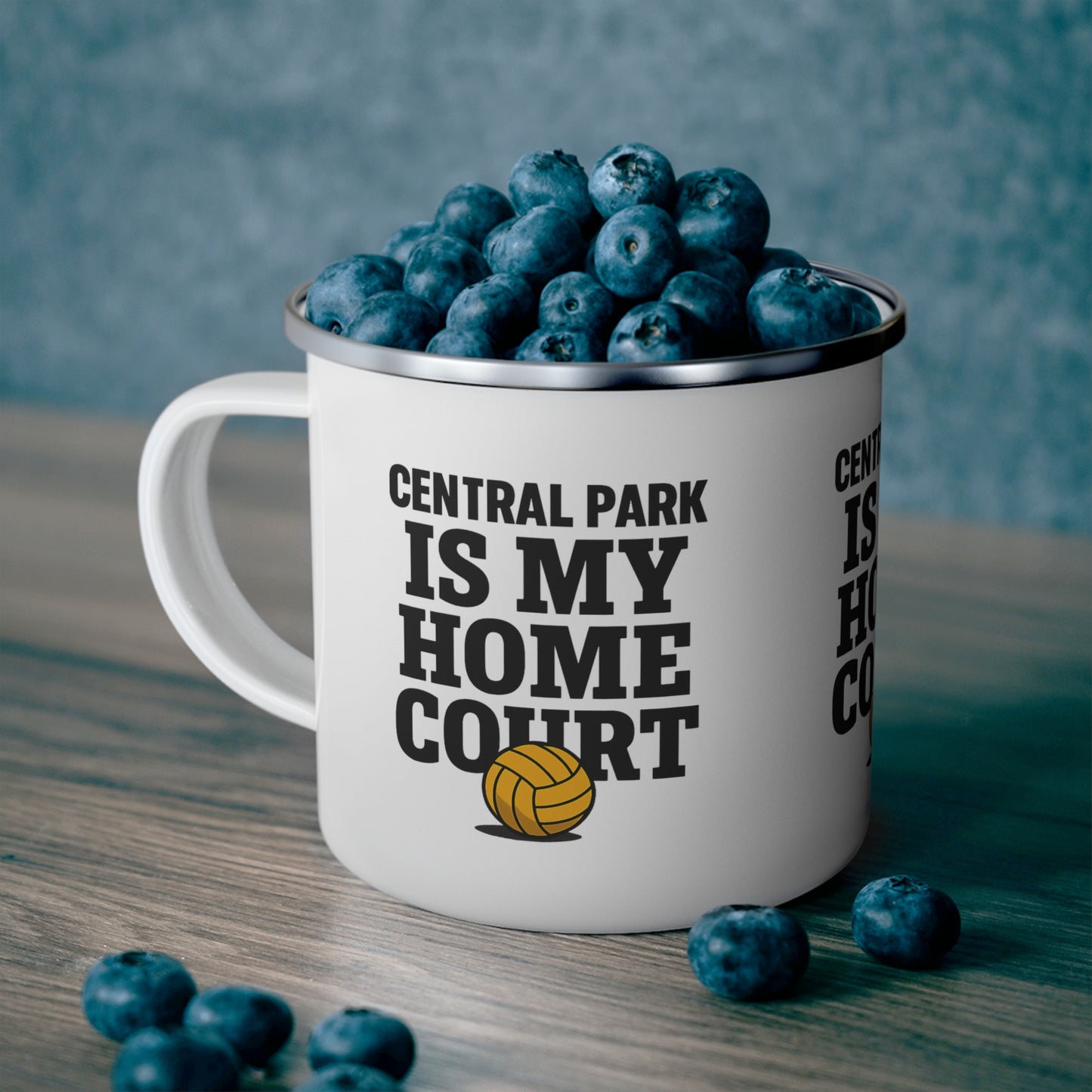 Metal enamel mug with bold Central Park volleyball design