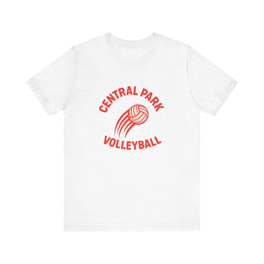 Central Park Volleyball Fire Tee on black shirt.
