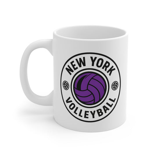 NY volleyball emblem