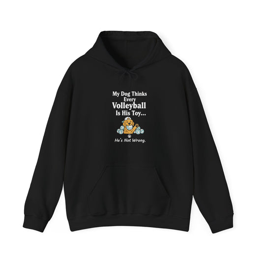 Yellow dog biting a volleyball graphic printed on hoodie.