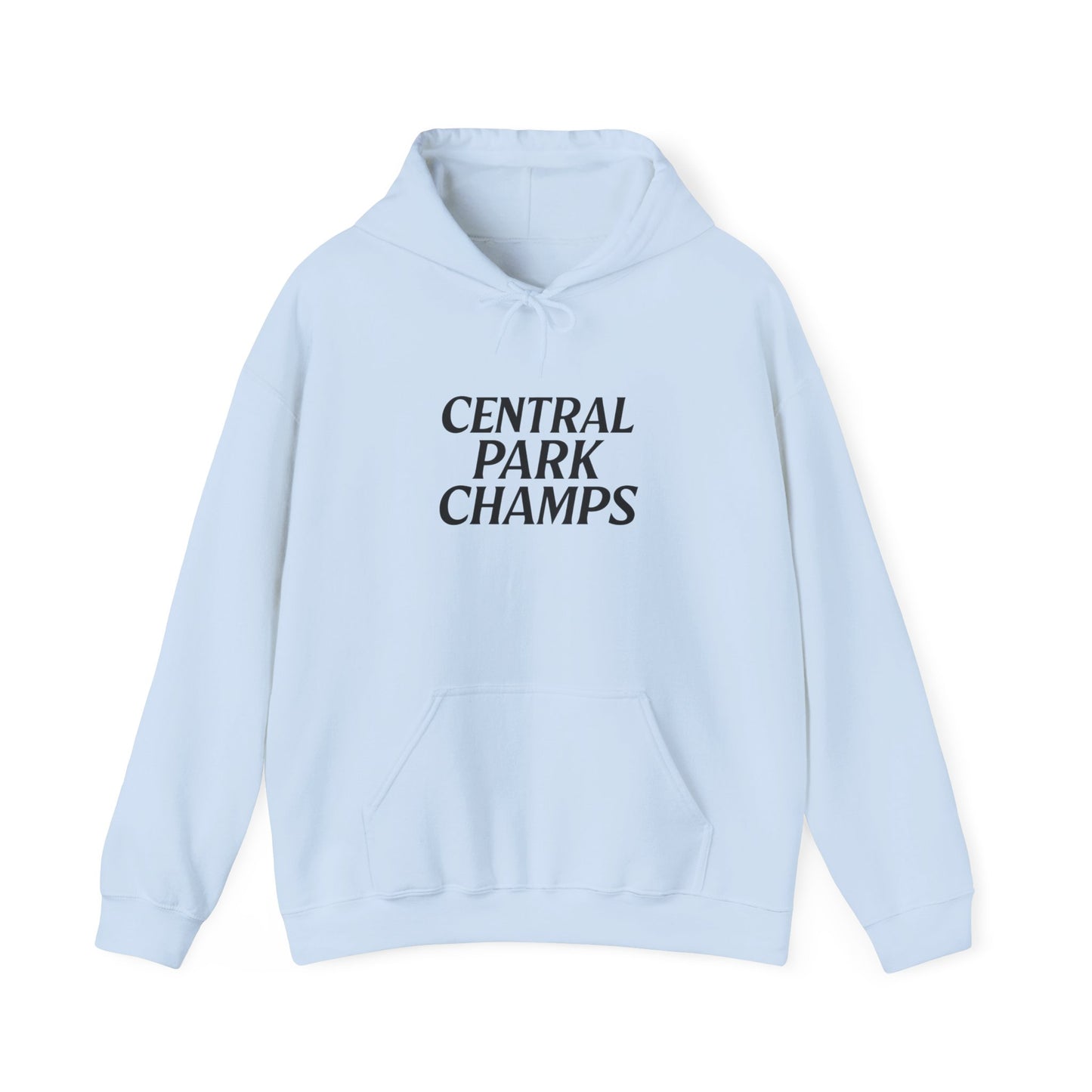 Close-up of Central Park Champs print on hoodie.