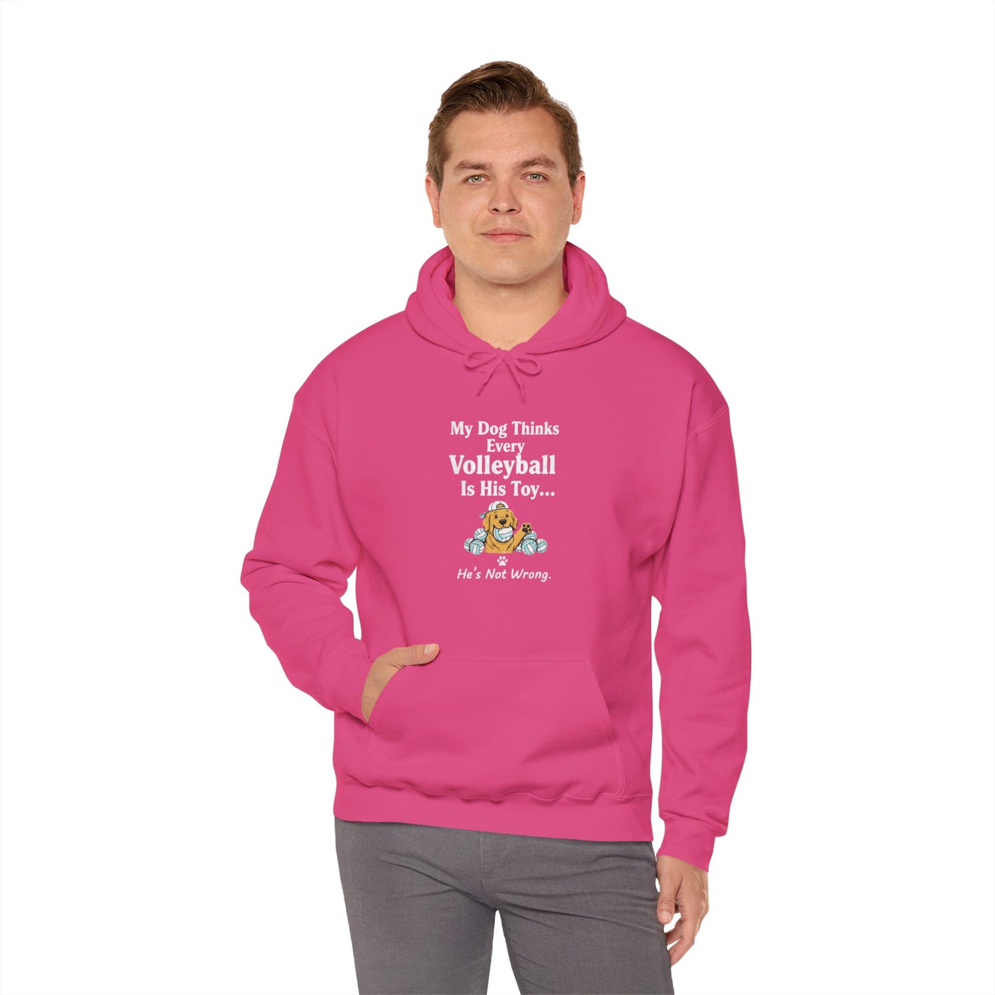 Illustrated dog chewing volleyball design on hoodie.