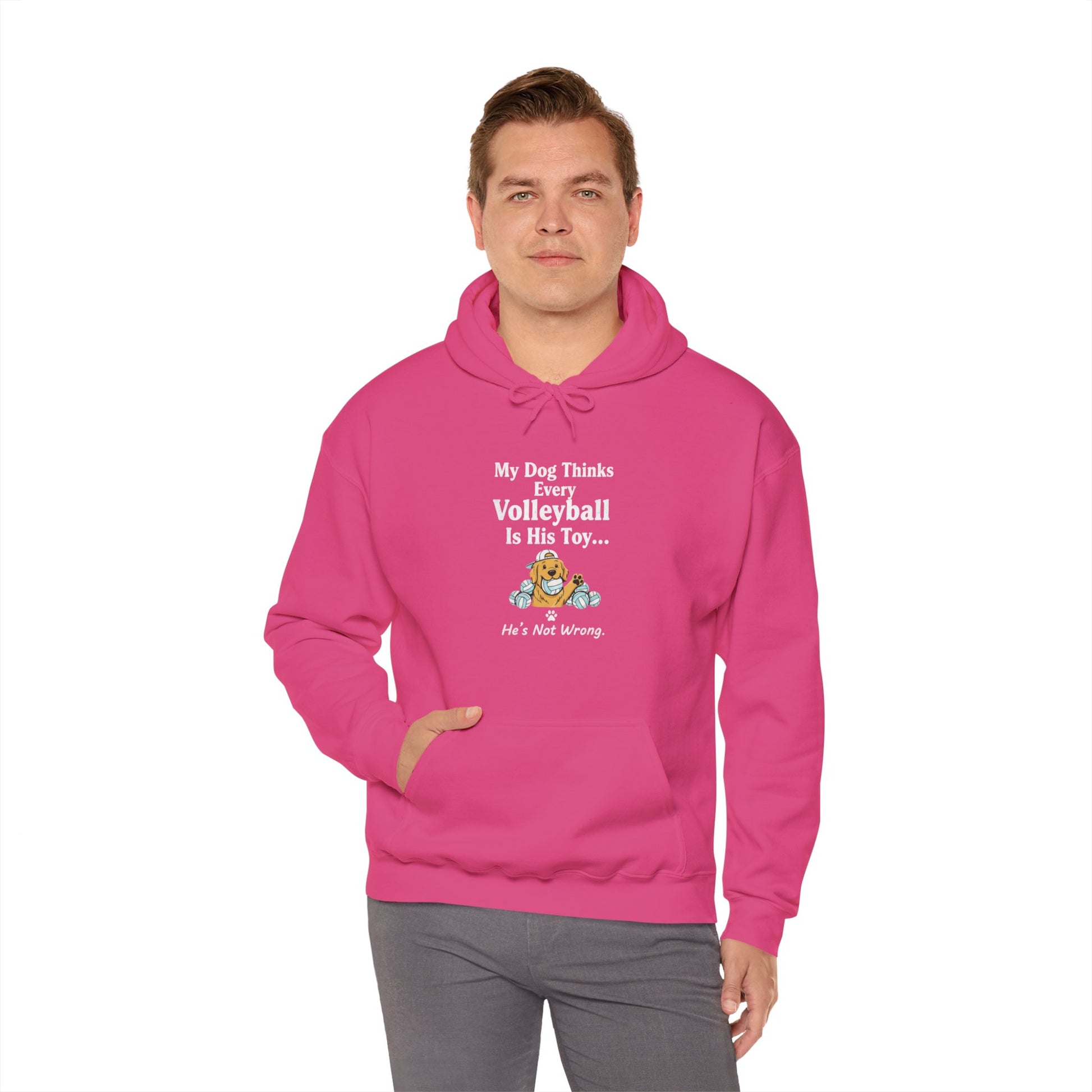 Illustrated dog chewing volleyball design on hoodie.