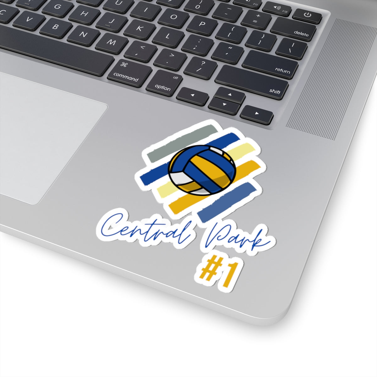 Central Park Volleyball #1 Sticker | Multi-Color Decal