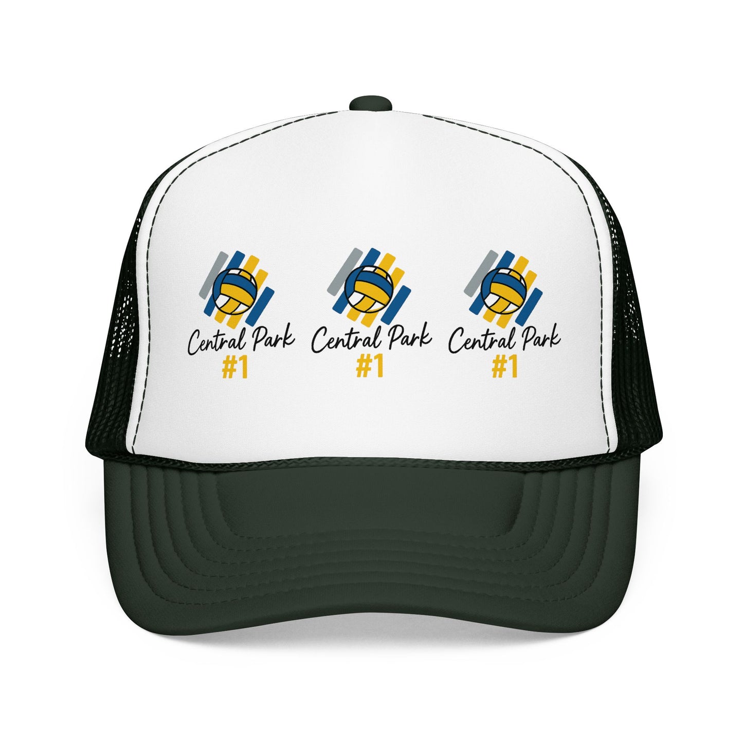 Minimalist Central Park number one volleyball design