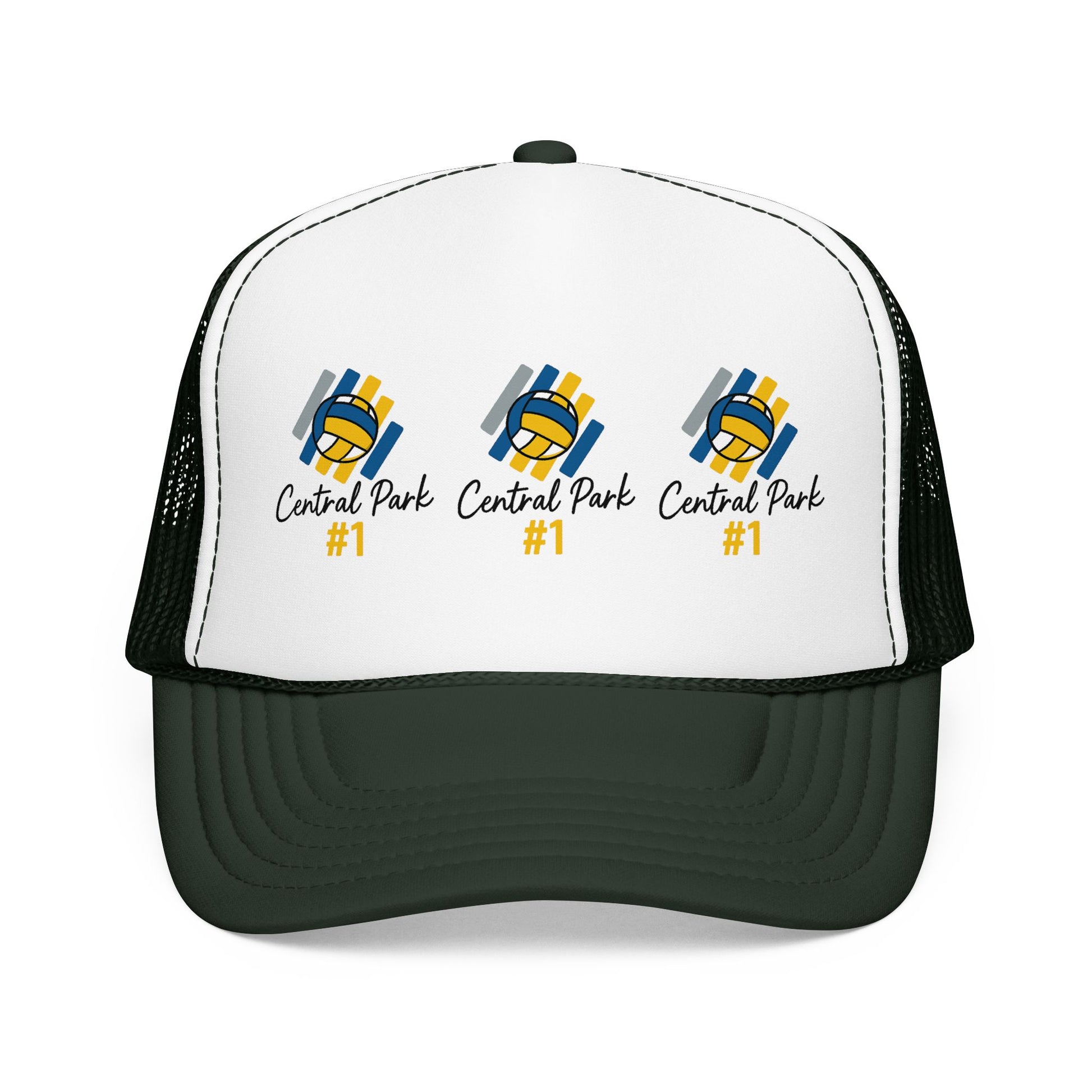 Minimalist Central Park number one volleyball design