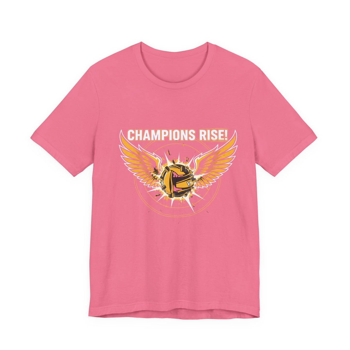 Golden Snitch inspired wings paired with volleyball illustration