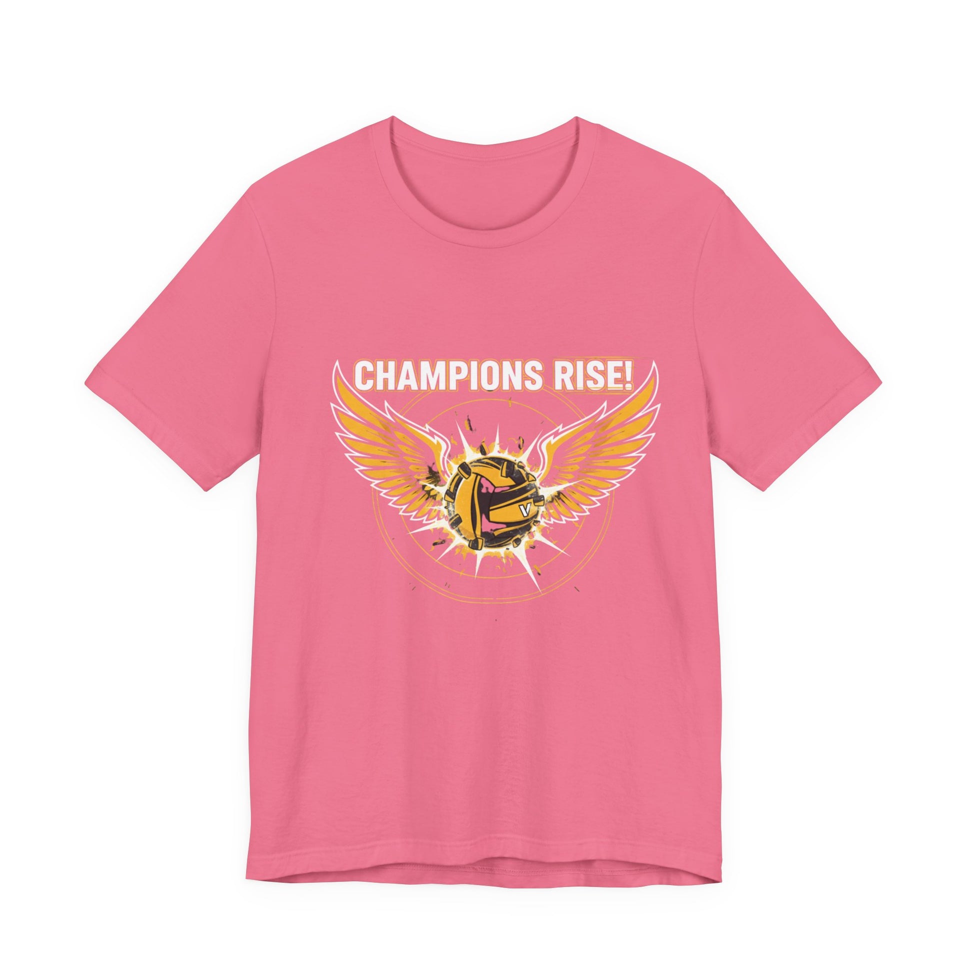Golden Snitch inspired wings paired with volleyball illustration