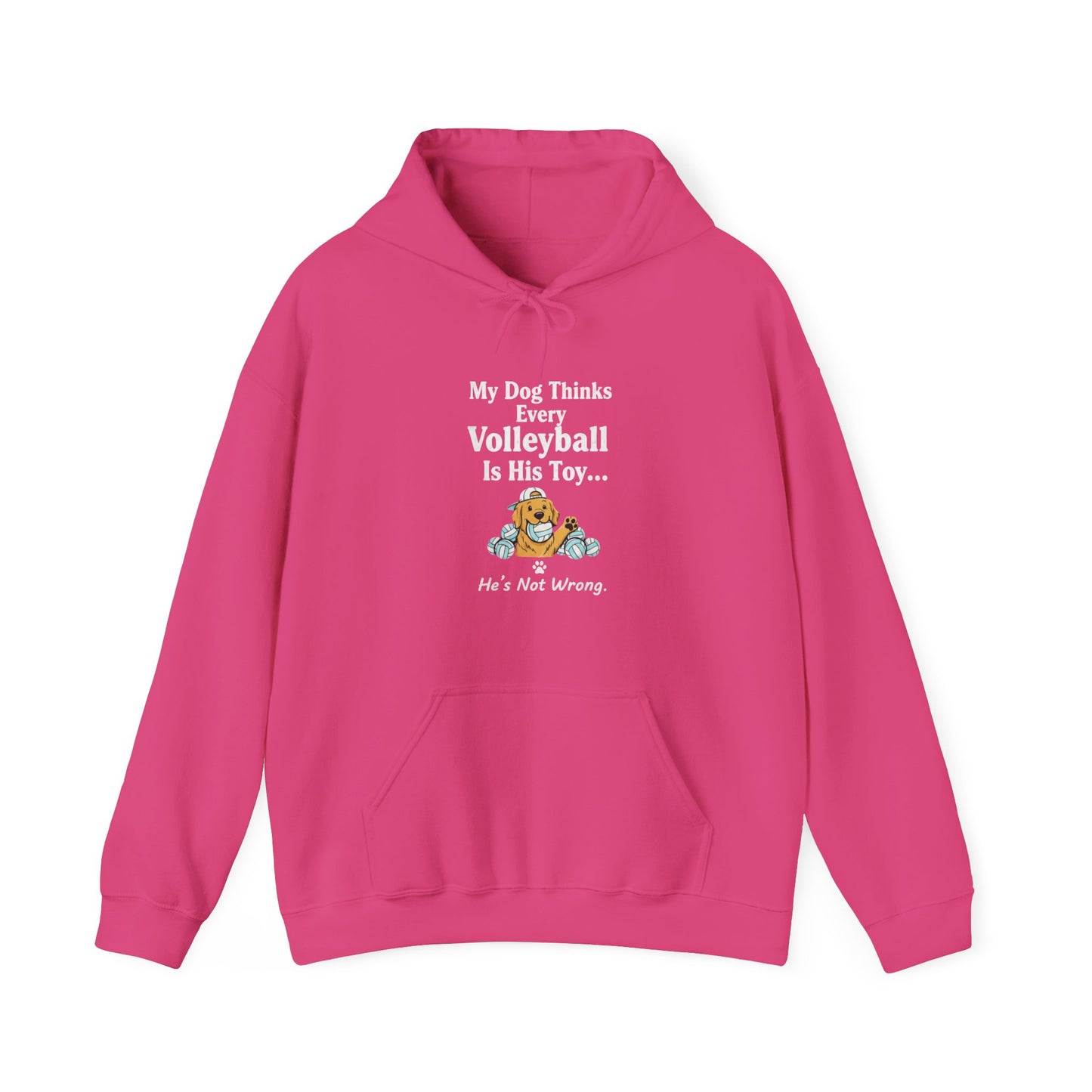 Playful dog-and-volleyball print with small tagline on hoodie.