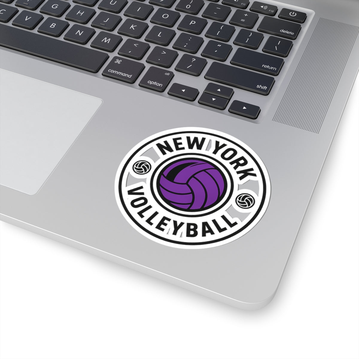 NY volleyball sticker