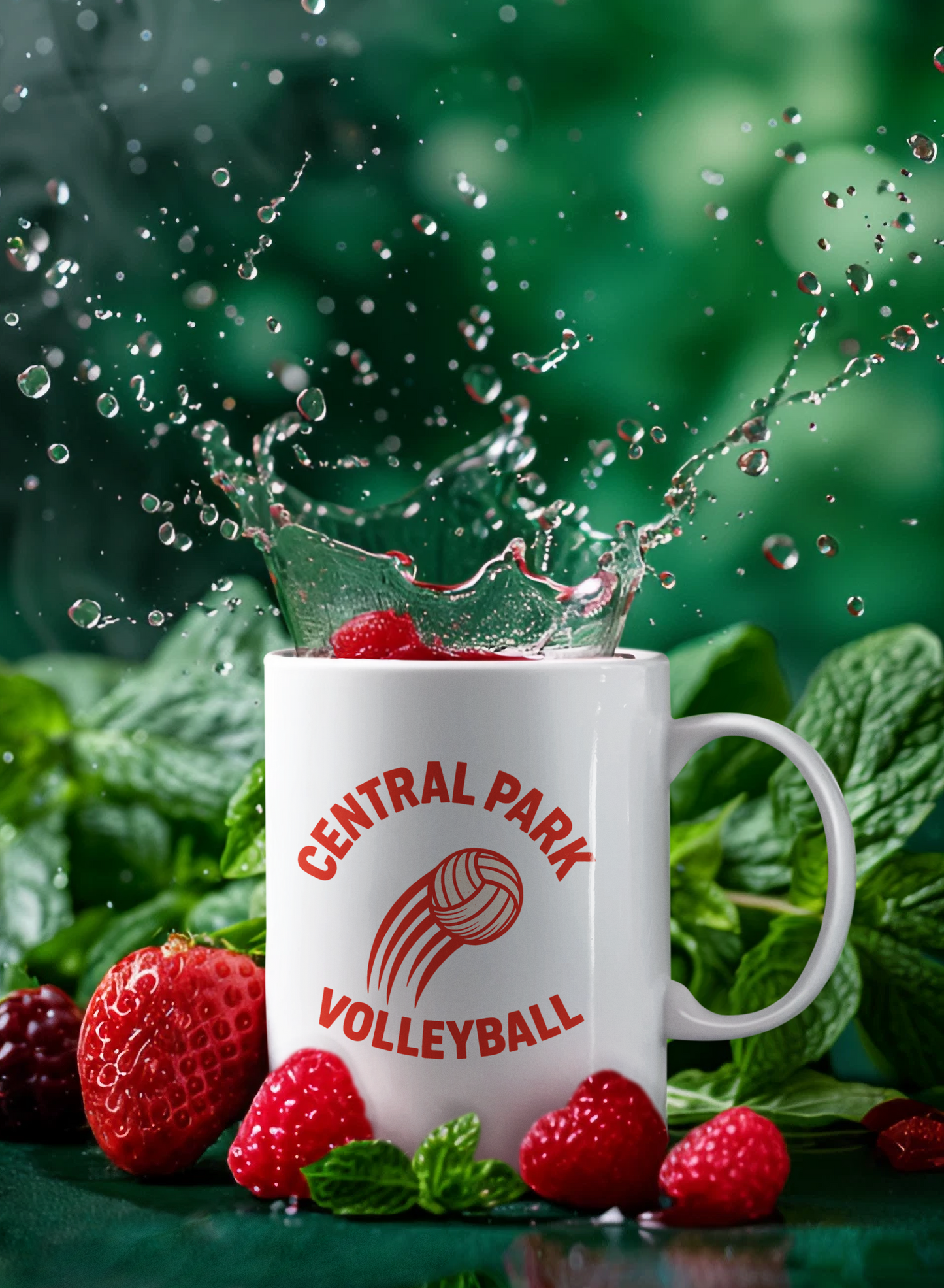 Central Park Volleyball coffee and tea mug for sports fans